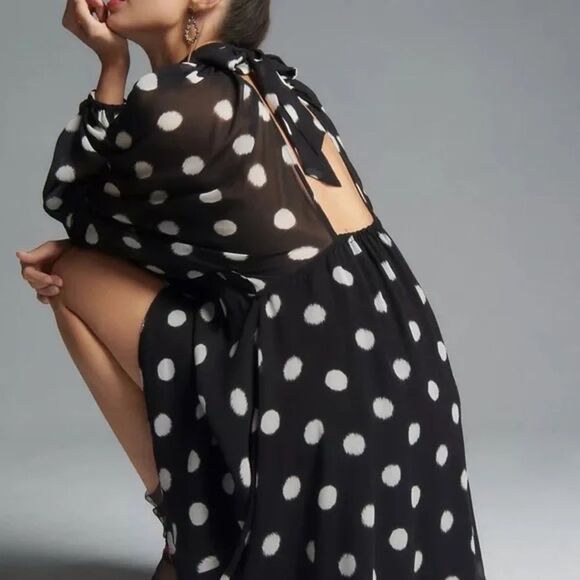 NWT Anthropologie Maeve Long-Sleeve Sheer Mini Dress Polka Dot - Picture 3 of 11